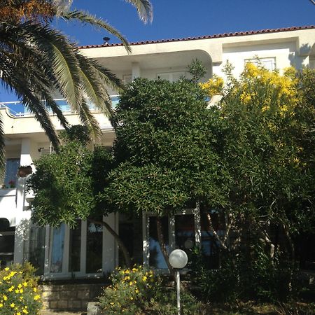 Guesthouse Punta Mira Novalja Eksteriør billede